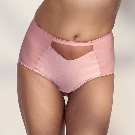 MAROON Find My Skin Tone Nylon Elastane High Rise Briefs Soft Stretchy Full Coverage High Waist Hold Zero Roll Grip Vanishing Waistband Hipster Panty